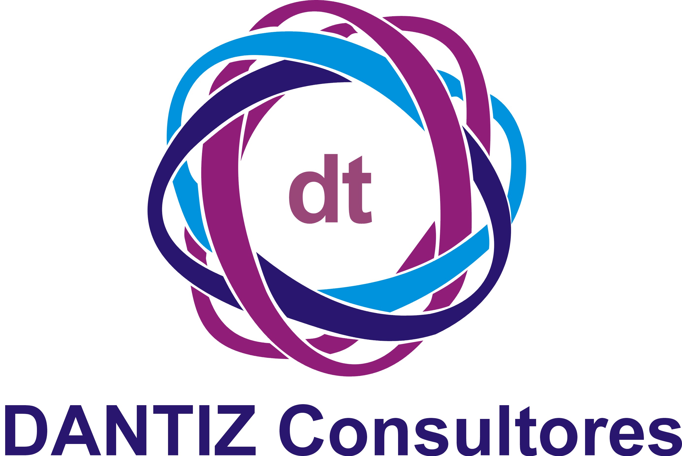 DANTIZ CONSULTORES